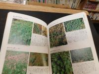 「校庭の雑草」