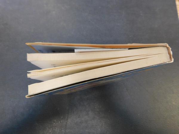 たいこめ辞典」(山本厚太郎 著) / 古本、中古本、古書籍の通販は「日本