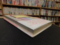 「折口信夫の記」