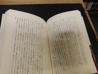 「聖なる王権　ブルボン家」