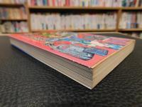 「絵画・骨董・書籍　利殖成功法」　 ブームにだまされないための体験的アドバイス80章