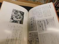 「虚子　遍歴の青春」　第２回特別企画展