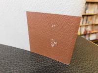 「讃岐漆芸の美展」