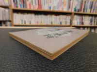 「庚子西狩叢談」