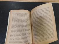 「庚子西狩叢談」