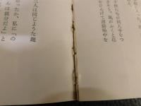 「東京文壇事始」