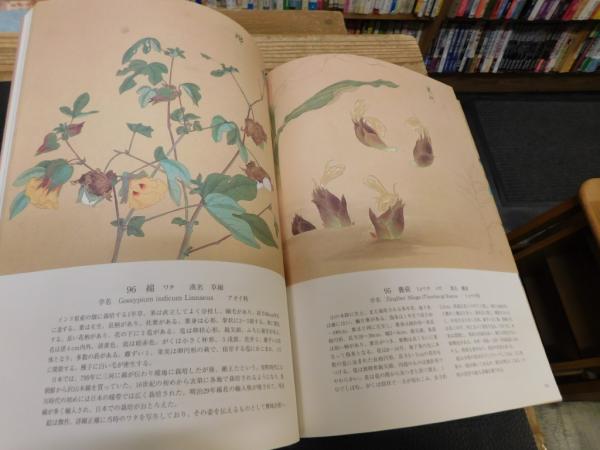 植物画の至宝 花木真寫」(近衛豫楽院 画 ; 源豊宗, 北村四郎 監修