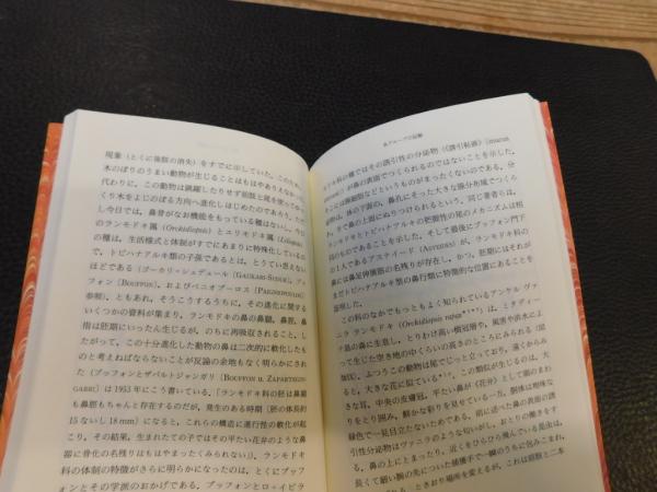 鼻行類 (平凡社ライブラリー)