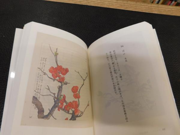 木下杢太郎 百花譜百選 岩波書店　★ 新編 百花譜百選／木下 杢太郎, 前川 誠郎｜岩波文庫 - 岩波書店