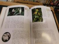 「三瓶植物誌」