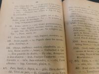 「南語譯西總約」　PETIT DICTIONNAIRE ANNAMITE-FRANçAIS