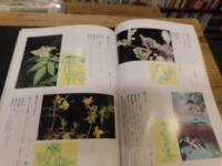 「健康への知恵　くすりになる草・木」