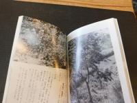 「岡山の民間療法　上」
