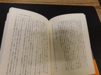 「グローバル資本と国際通貨システム」