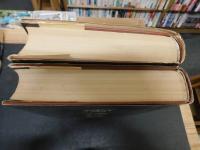 「雪橋詩話　上・下　２冊揃」　標点索引本