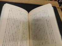 「アメリカの一小学校教師として」　教育現場からの報告