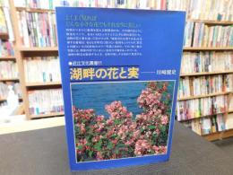 「湖畔の花と実」