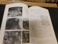 「香川県埋蔵文化財調査年報　昭和５４年度」