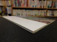 「史跡斎宮跡　県道南藤原・竹川線発掘調査報告」