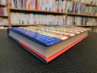 「New Strangers in Paradise」　The Immigrant Experience and Contemporary American Fiction
