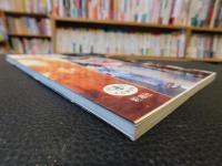「日本の祭」　とんぼの本
