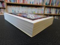  「バートン版　千夜一夜物語　全１１冊揃」