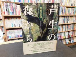 「関西の秘境　芦生の森から」