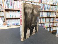 「ゾウさんの遺言」