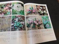 冊子　「中和　自然の花」　岡山県中和村