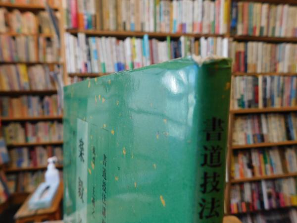 楽毅論 新装版」 楷書 東晋 王羲之(青木香流編) / 古本、中古本