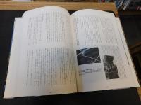 「新居浜太鼓台」