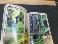 「昆虫のすごい瞬間図鑑」　一度は見ておきたい!公園や雑木林で探せる命の躍動シーン