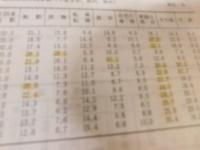 冊子　「愛媛県人口移動統計調査報告　平成６年１月～６年１２月」
