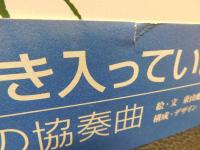 「白馬幻想」　心の風景より