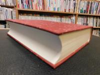 「中国語　同音字典　覆刻版」
