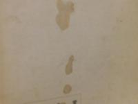 「愛媛の文化　第１７号」　特集　えひめの国宝展