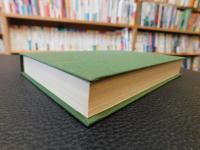 「晩清小説史」