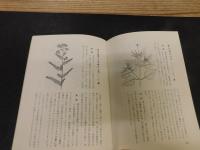 「伊予の薬食草」
