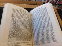 「Dante　Als Dichter Der Irdischen」