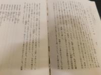 「中国幻想行」