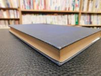 [Literatursprache und Publikum in der lateinischen Spätantike und im Mittelalter]