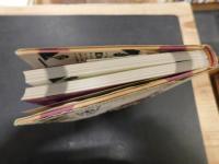 「風流の図像誌」