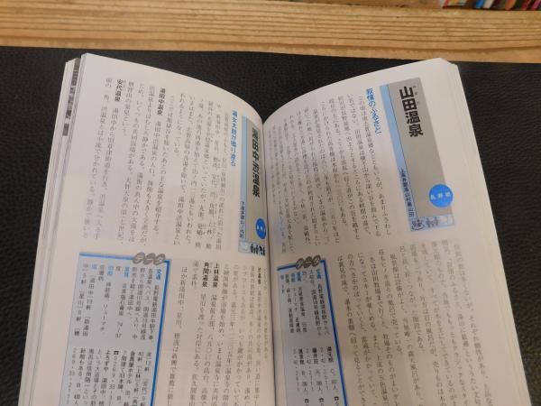 全国温泉ガイド200選(ブルーガイドエル・実業之日本社)：大石真人 全国温泉ガイド200選 (ブルーガイドL) 大石 真人 (著) | メイプル