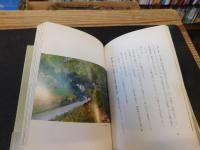 「ドンレミイの雨」