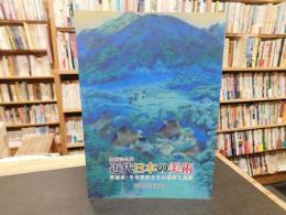 「開館記念展　近代日本の美術」　洋画家・日本画家たちの模索と展開 :