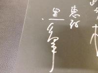 「建築の詩」　Kisho Kurokawa recent works 1987-1992