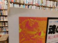 「イメージの博物誌　10　魂の航海術」　死と死後の世界