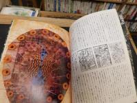 「イメージの博物誌　10　魂の航海術」　死と死後の世界
