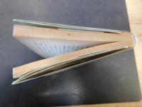 「新編　琅玕記」