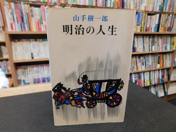 写真集 マコンデの現代彫刻(水野恒男) / 古本、中古本、古書籍の